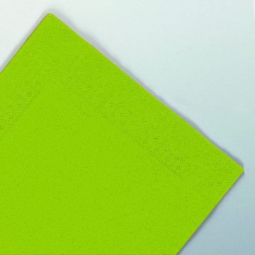 Serviettes en papier ouate vert thé 2 plis 25 x 25 cm AVA