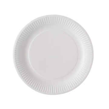 Lot de100 assiettes jetables blanches en carton 23cm