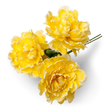 Lot de 3 pivoines jaunes 12 cm en bouquet sur tige 30 cm