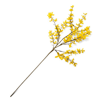 Branche de genêt jaune 80 cm