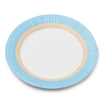 Lot de 12  assiettes jetables en carton Ice D 23 cm