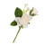 Boutonnière rose crème 16 cm