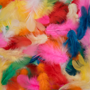 Sachet de plumes multicolores 20 gr