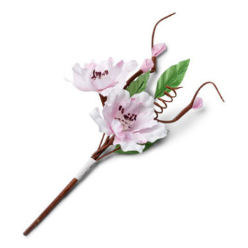 Branche de cerisier 16 cm