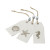Lot de 6 étiquettes Lin imprimé coquillage 9 x 4 cm Lot de 6 étiquettes Lin imprimé coquillage 9 x 4 cm