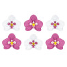 Lot de 6 Orchidées blanches et fuschia papier 3D 8,5 cm