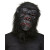 Masque Gorille en latex et fourrure Halloween Masque Gorille en latex et fourrure Halloween