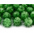 Lot de 20 boules pompon Oursin vert pomme 2 cm Lot de 20 boules pompon Oursin vert pomme 2 cm