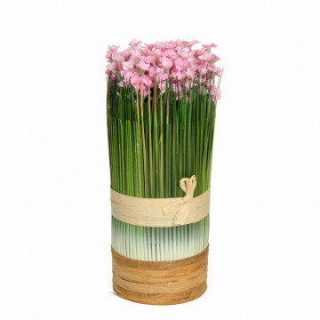 Pot de lavande rose 24 x 13 cm