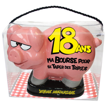 Tirelire Cochon 18 ans