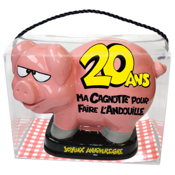 Tirelire Cochon 20 ans