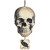 Crâne Vaudou Witch Doctor à suspendre Halloween 44,4 cm x 21,6 cm