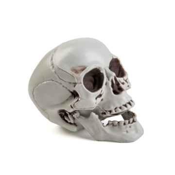 Crâne Halloween 10 x 8 x 9 cm
