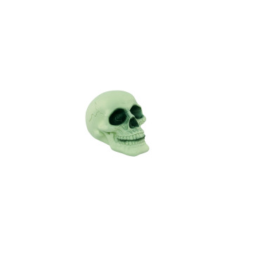 Crâne phosphorescent en résine Halloween PM