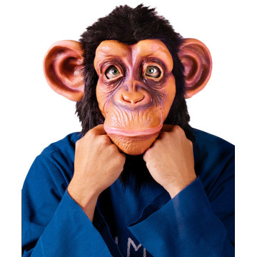 Masque Bruno le singe Halloween