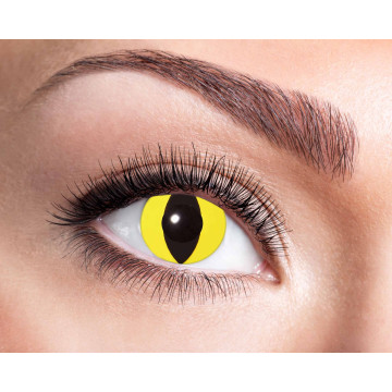 Lentilles Chat jaune -14,5 mm- 3 mois