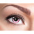 Lentilles Lapin- 14,5 mm- 1 an Lentilles Lapin- 14,5 mm- 1 an
