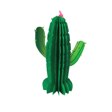 Cactus alvéolé 20 cm