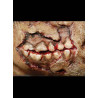 Fausse Cicatrice nécrose bouche de zombie3 D Halloween