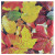 Lot de 20 Serviettes jetables  Automne en papier 33 x 33 cm