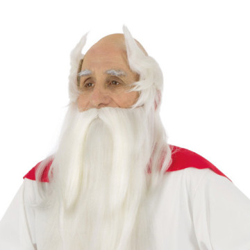 Perruque + Barbe Panoramix
