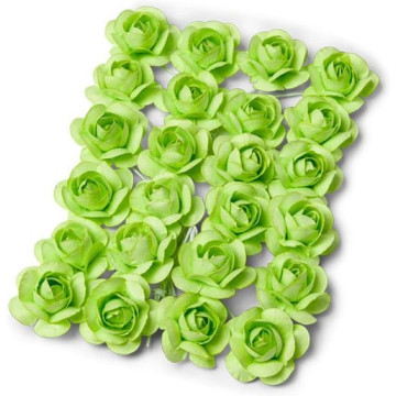 Lot de 24 Roses anis sur tige 2,1 cm