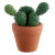 Marque -Place Cactus 2,5 x 6 cm