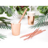 Lot de 10 pailles carton rose gold