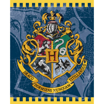 Lot de 8 sachets à bonbons Harry Potter