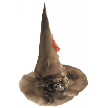 Chapeau de sorcière miteuse Halloween