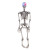 Squelette lumineux à suspendre 89 cm Halloween Squelette lumineux à suspendre 89 cm Halloween