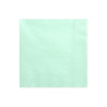 Lot de 20 serviettes en papier vert menthe 33 x 33 cm