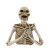 Buste squelette résine Halloween 16 x 10 x 15,5 cm Buste squelette résine Halloween 16 x 10 x 15,5 cm