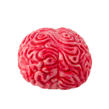 Cerveau Halloween 16 x 12 x 9 cm