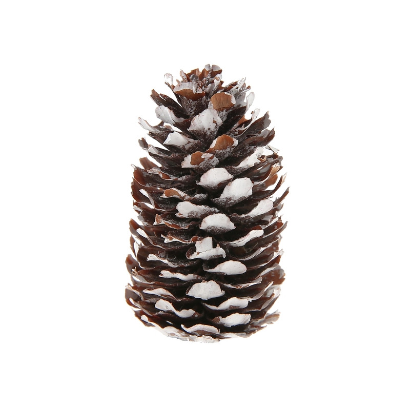 Lot De 150 Mini Pommes De Pin Naturelles 1-2 Cm – Idéal Pour Noël, Déco Automne, Artisanat & Arrangements Floraux