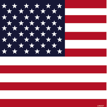Lot de 20 Serviettes intissé Drapeau Américain 25x25 cm