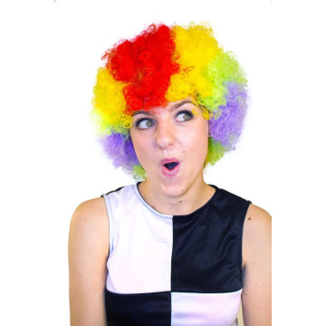 Perruque clown multicolore