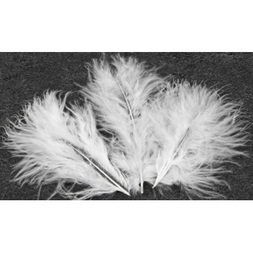 Lot de 20 plumes de décoration blanches