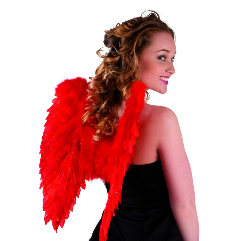Ailes de Dragon Rouges main image 1