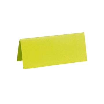 10 Marque-places verts rectangulaires de 3 x 7 cm