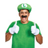 Set accessoires Luigi adulte