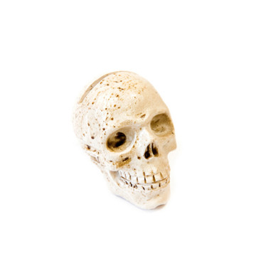 Marque place de crâne en résine de 4,5 x 5,5 cm