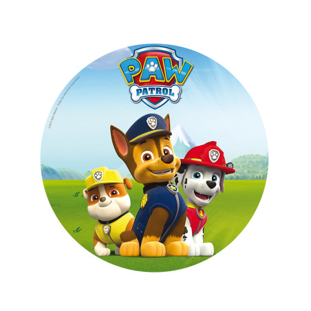 Disque Pat'patrouille de 20 cm en azyme - paw patrol