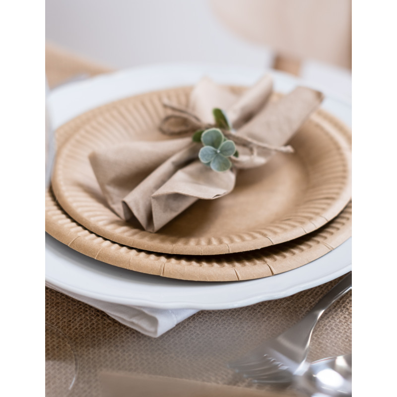 Lot 50 Assiettes Jetables Carton Marron 23cm - Biodégradables Et Recyclables