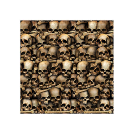 Décoration murale de 1,2 x 9 m de catacombes squelettes Décoration murale de 1,2 x 9 m de catacombes squelettes