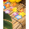 300 décoratives fleurs de Hawaï