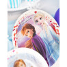 8 Assiettes en carton FSC La Reine des Neiges 2