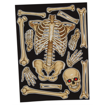 Stickers squelette