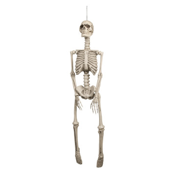 Squelette en plastique halloween de 92 cm