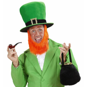 Chapeau haut de forme vert avec barbe